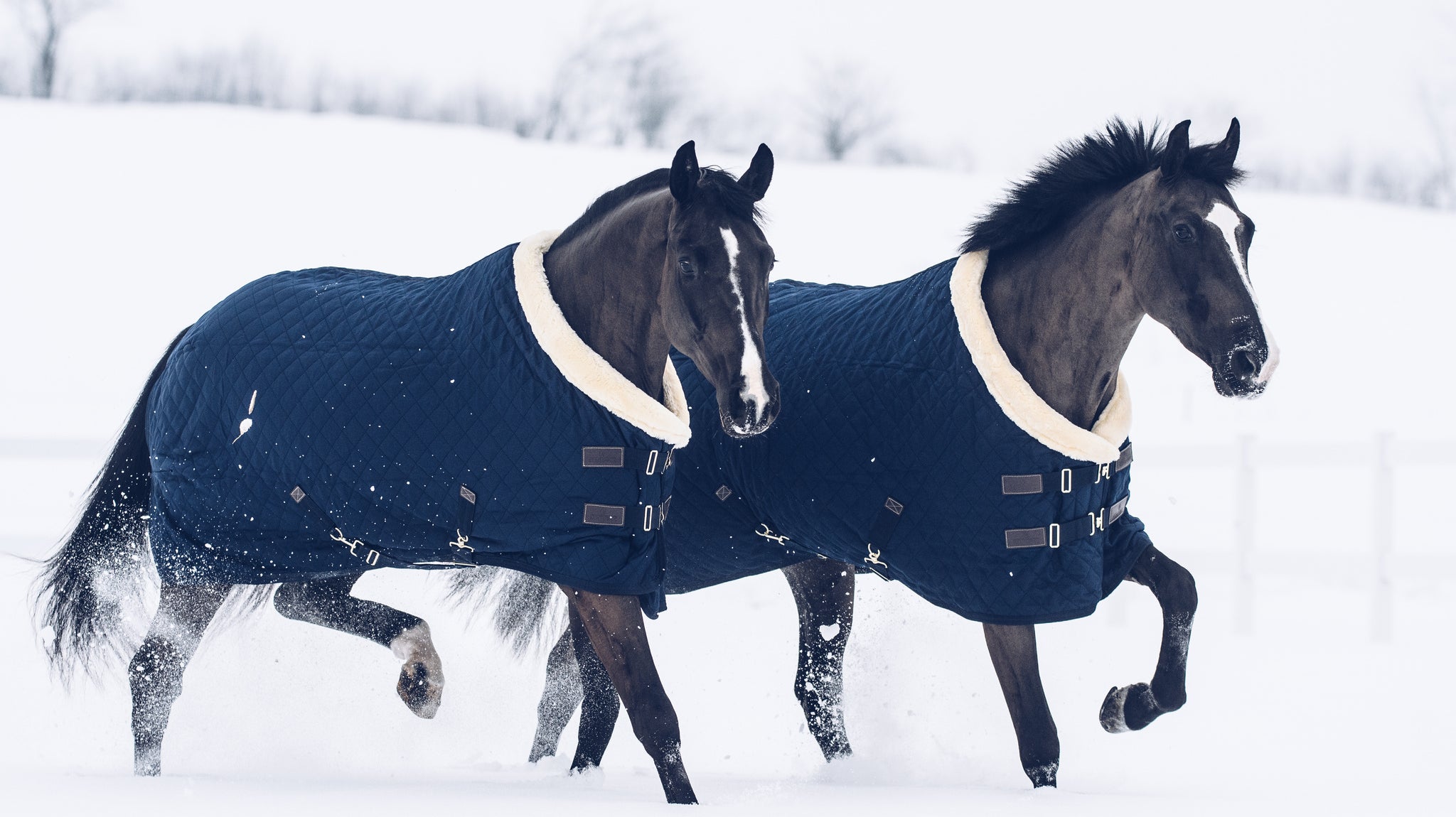 Zo kies je de beste paardendeken!