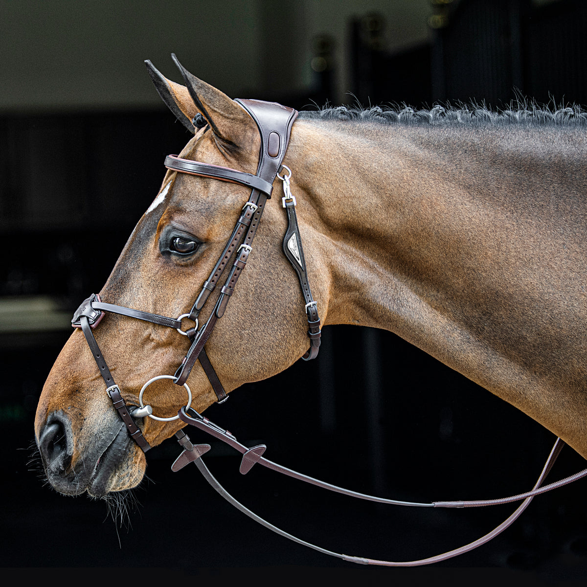 EEN GOED BIT IS BELANGRIJK IN DE OPTOMING VAN JOUW PAARD! - Blog