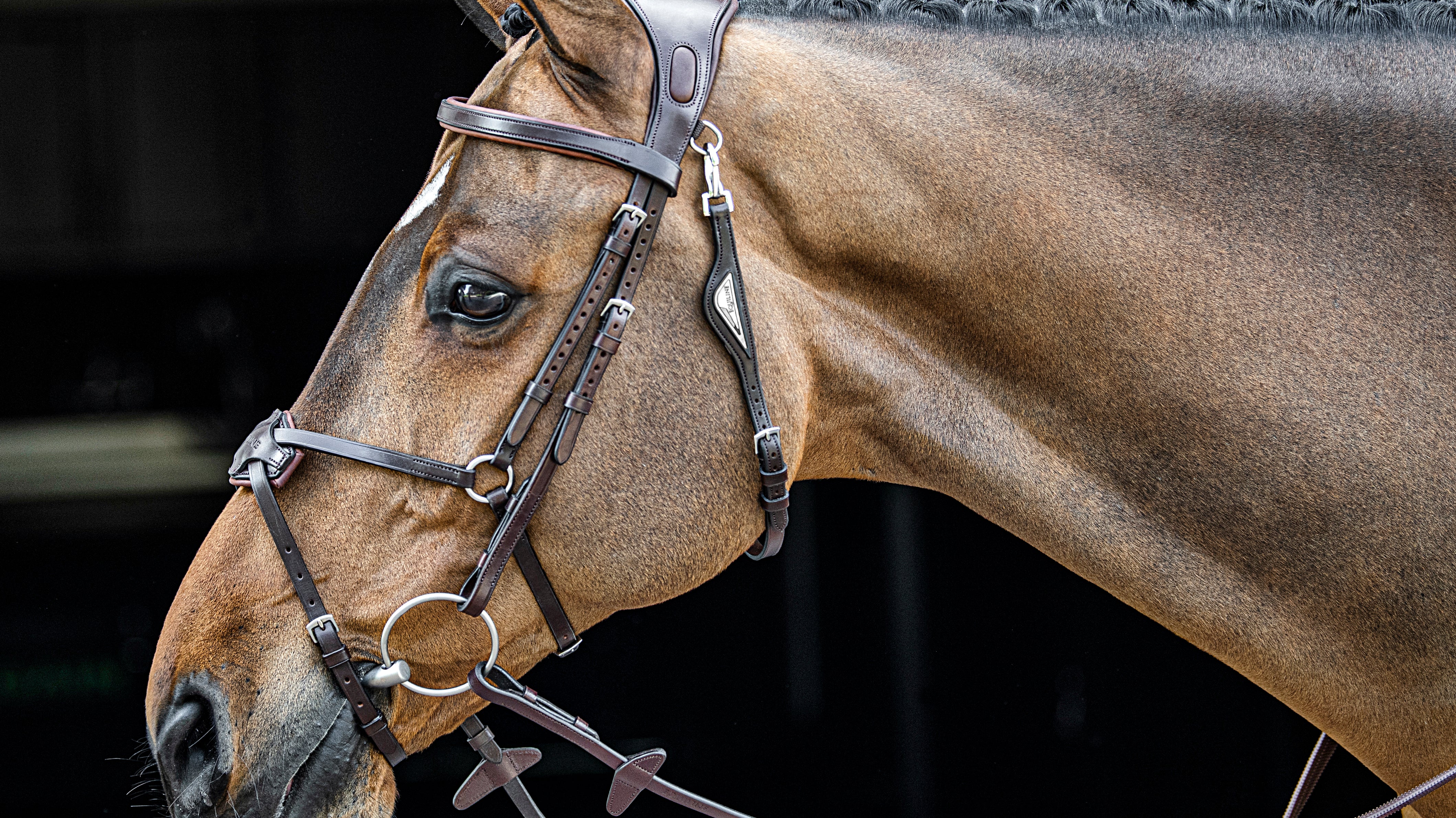 Wat is het beste mondstuk voor mijn paard?