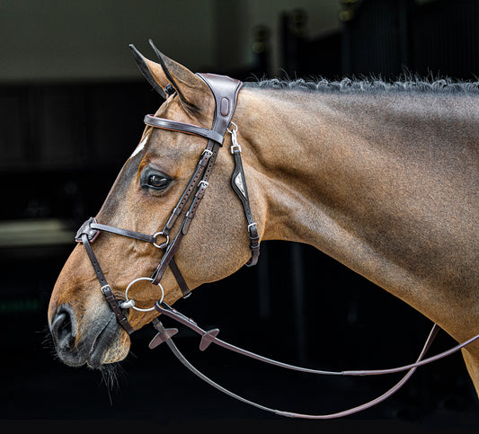 Wat is het beste mondstuk voor mijn paard?