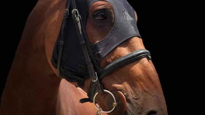 Fenwick maskers: een revolutie in de paardensport
