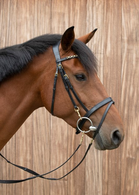 Equilook Hoofdstel Professional gecombineerde neusriem Zwart