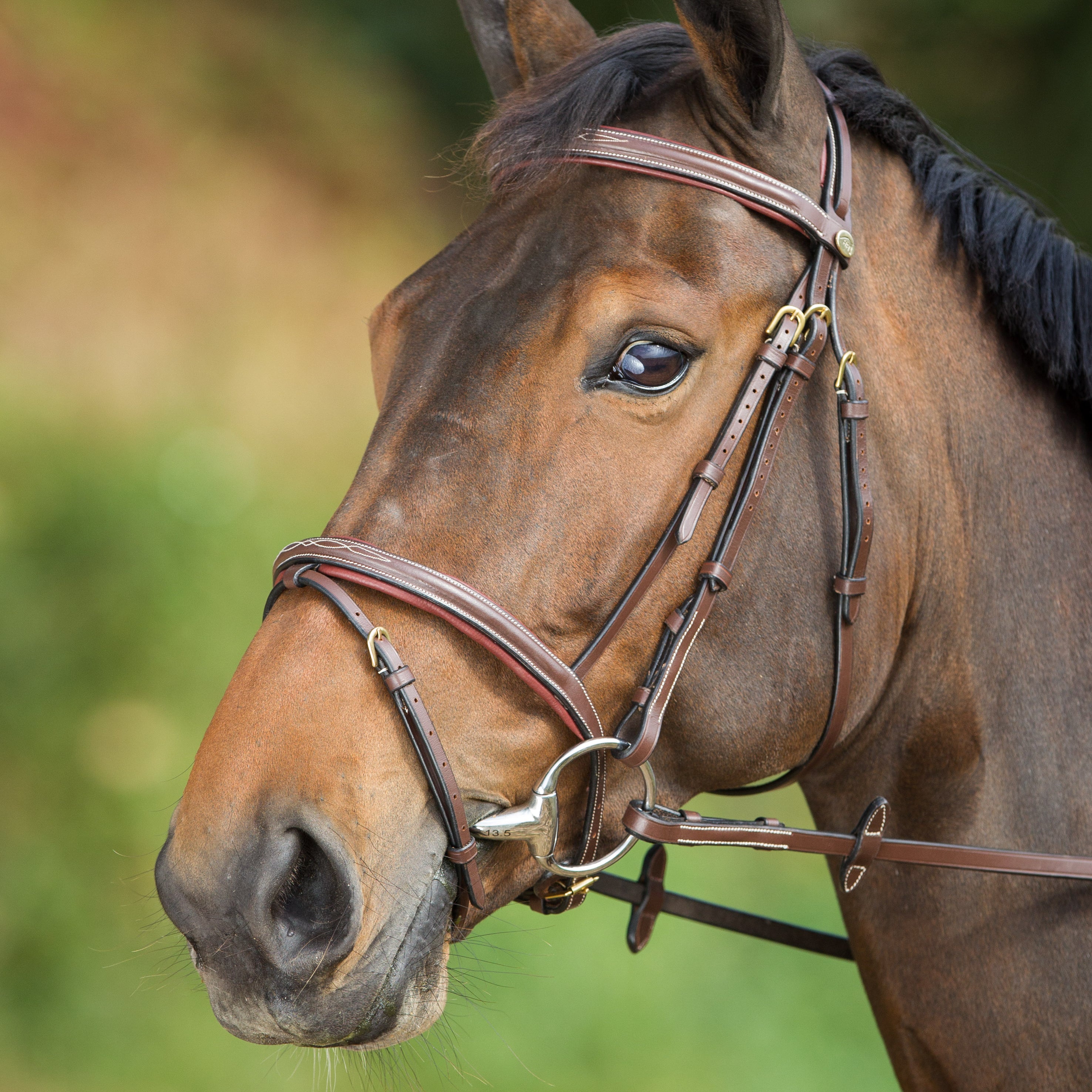 HFI Hoofdstel Comfort Bruin