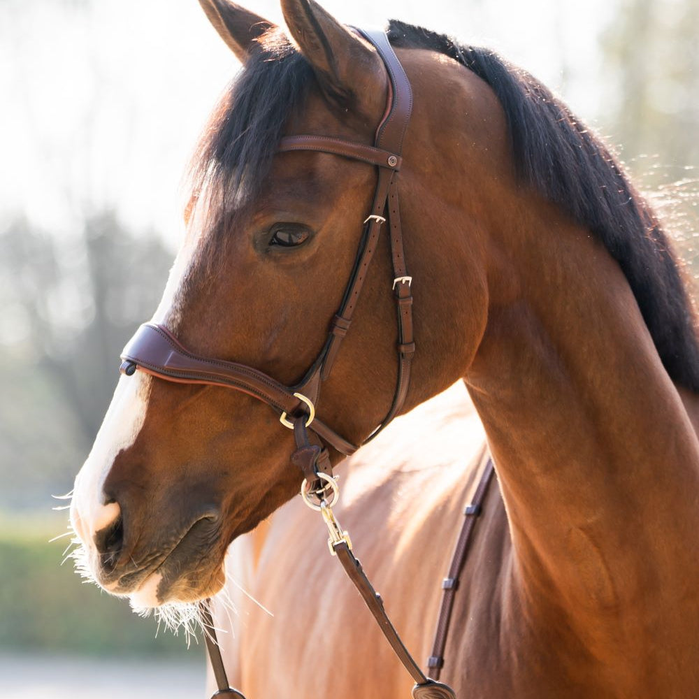 TRUST hoofdstel Falsterbo T-Motion zilveren gespen Bruin Bruin Cob