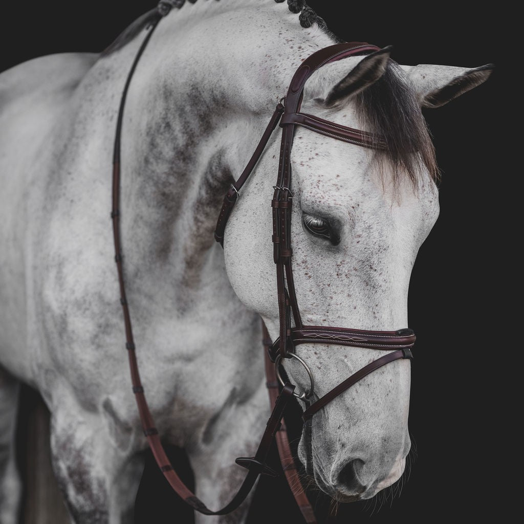 Equiline Hoofdstel Anatomisch gecombineerde neusriem Bruin Full