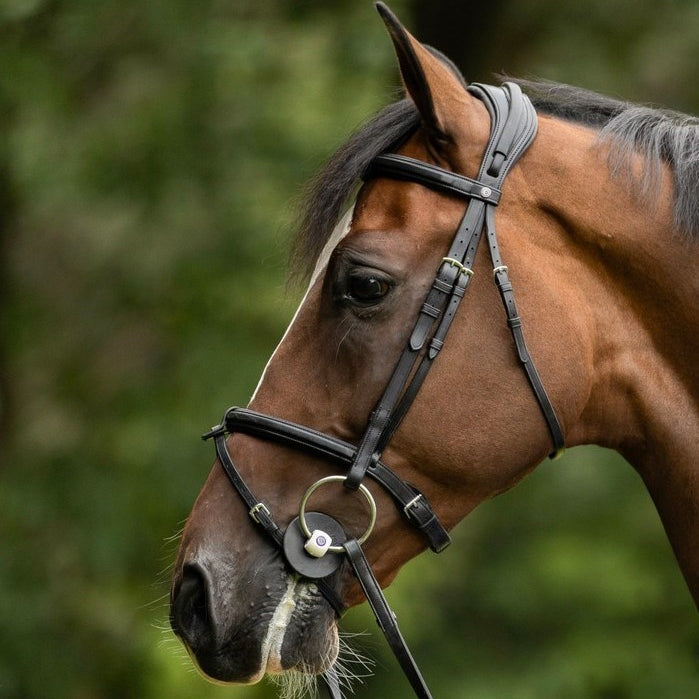 TRUST hoofdstel Geneva gecombineerde neusriem zilveren gesp Zwart Zwart Full