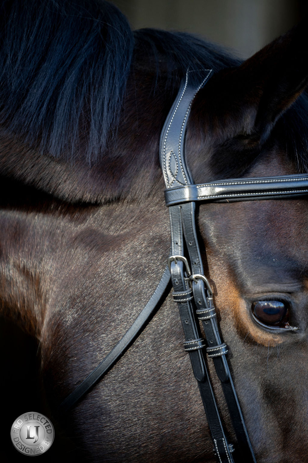 LJ Leathers Pro Selected hoofdstel gecombineerde neusriem Heritage Zwart