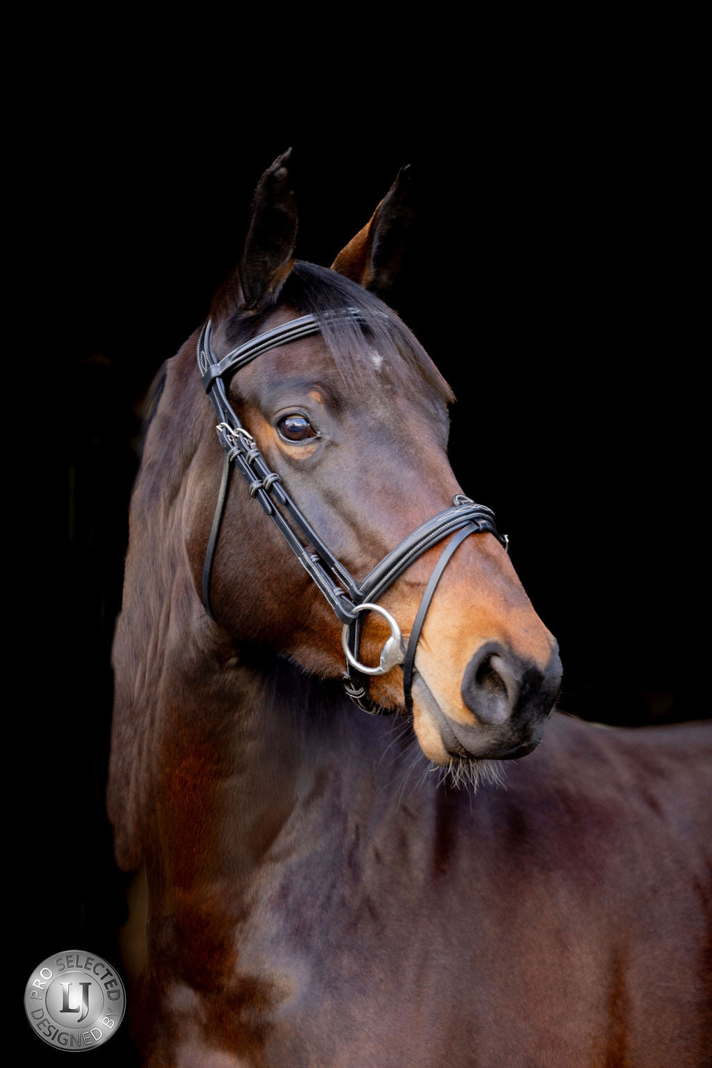 LJ Leathers Pro Selected hoofdstel gecombineerde neusriem Heritage Zwart