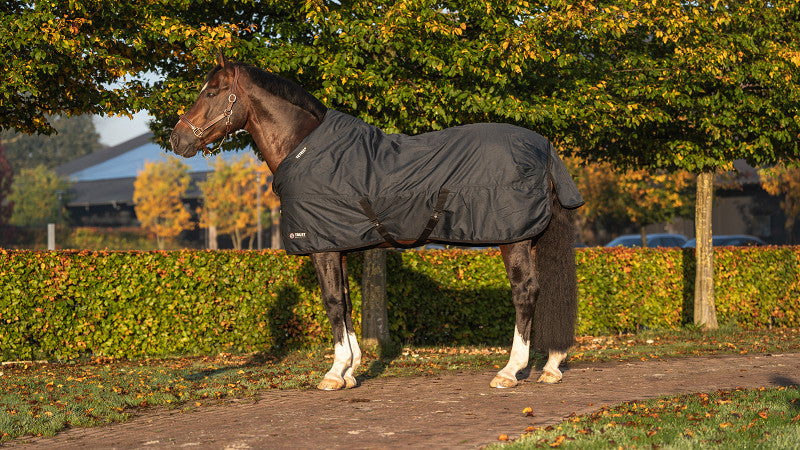 Trust TETRIS Outdoordeken 300 g Navy