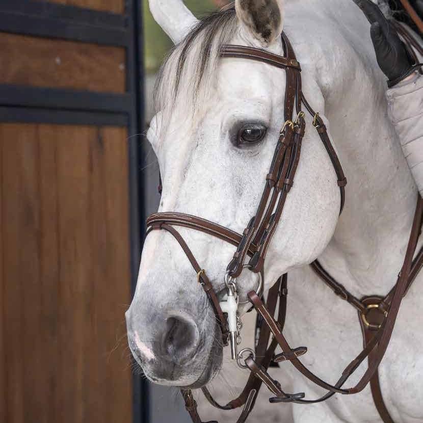 HFI Stang & Trens Hoofdstel Springen
