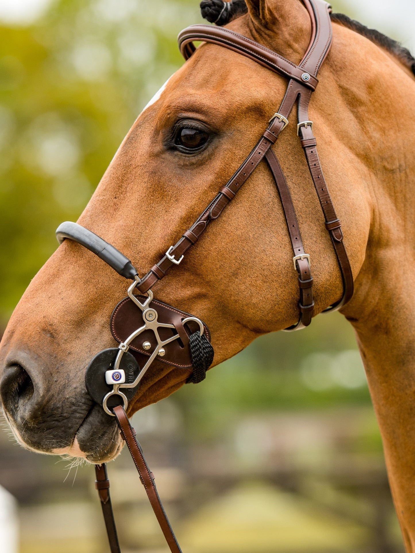 TRUST hoofdstel Hickstead Hackamore bridle zilveren gespen Bruin