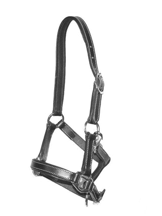 LJ Leathers licol en cuir pour poulain Noir < 6 mois