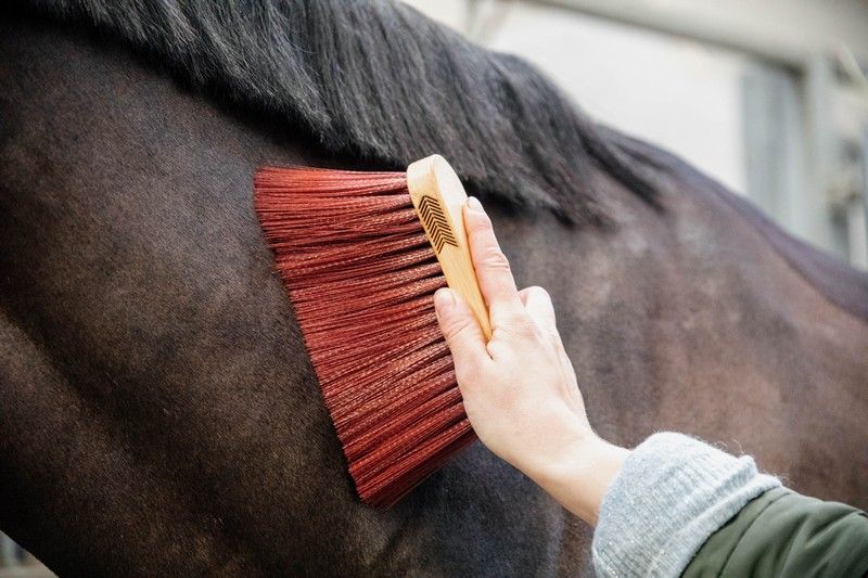 Grooming Deluxe Middel Brush Long Brown