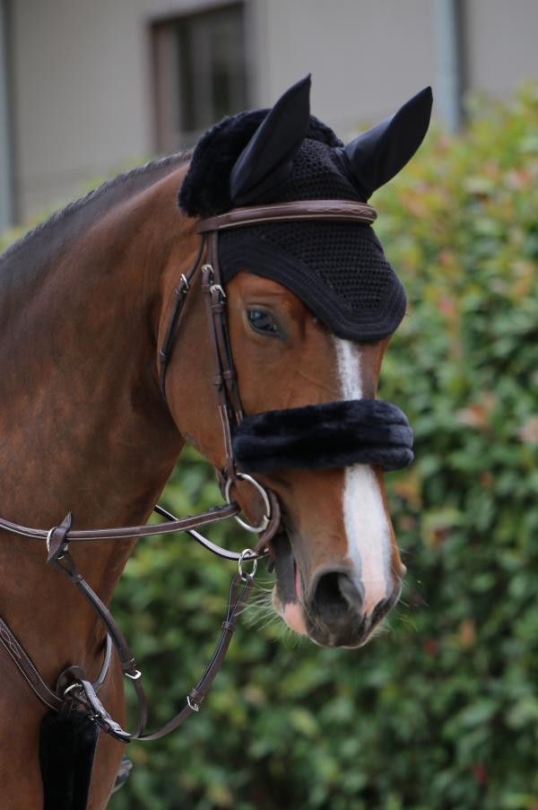 Kentucky Horsewear neusriembeschermer wol - equi-exclusive