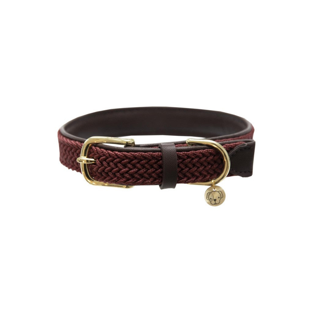 Kentucky Dogwar Gevlochten Nylon Hondenhalsband