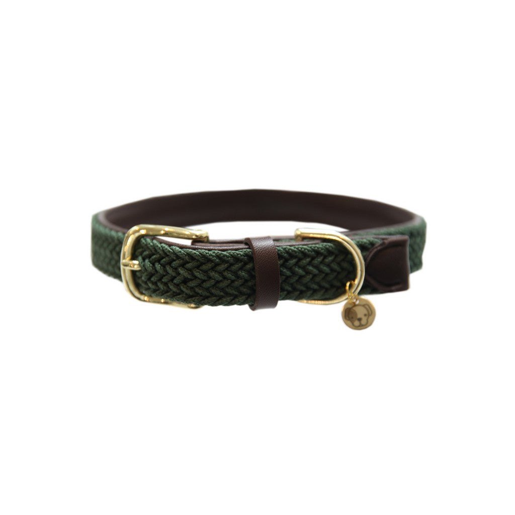 Kentucky Dogwar Gevlochten Nylon Hondenhalsband Groen