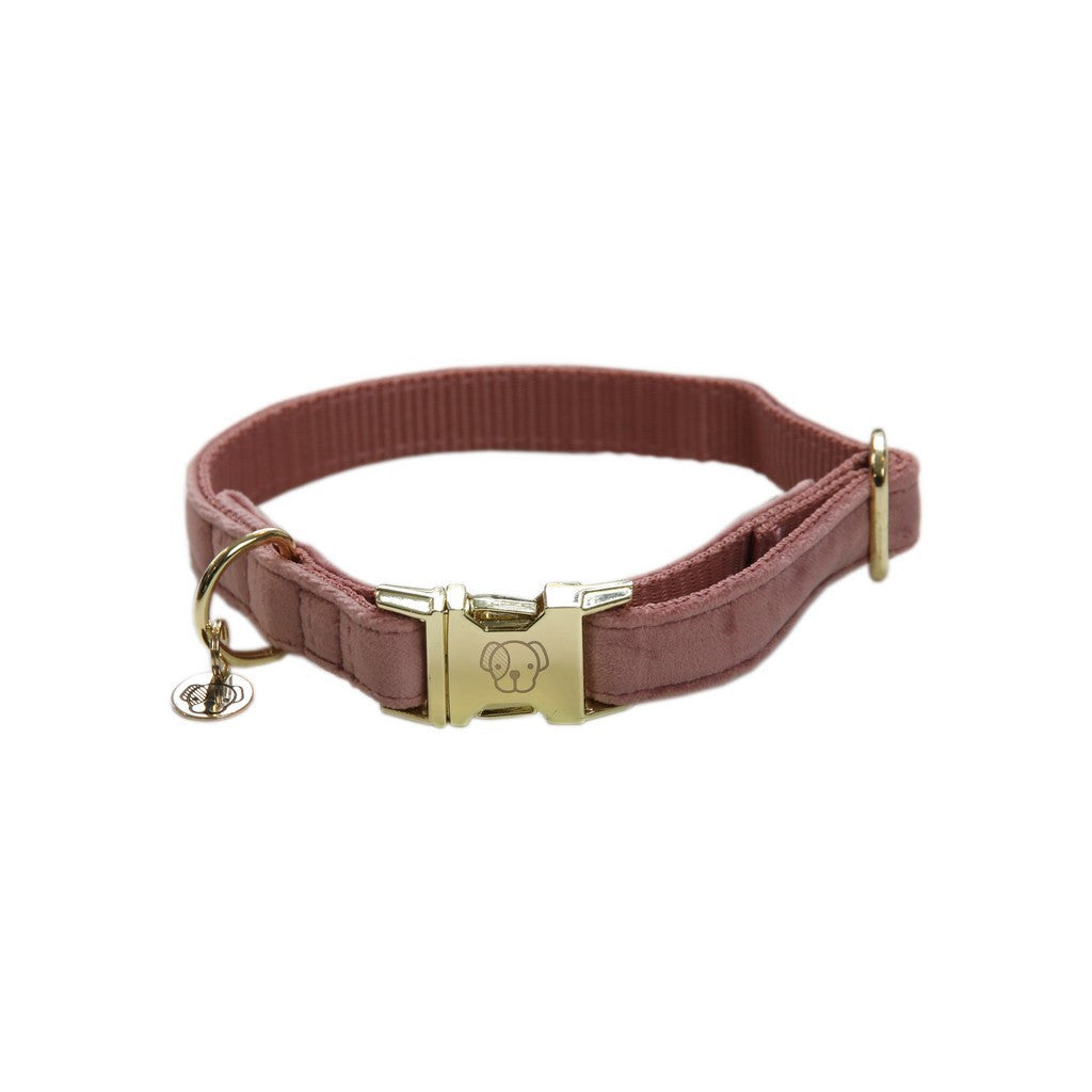 Kentucky Dogwear hondenhalsband Velvet