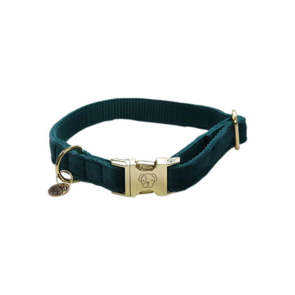 Kentucky Dogwear hondenhalsband Velvet