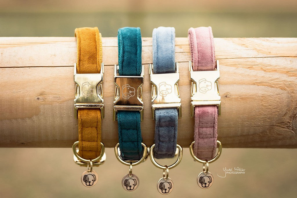 Kentucky Dogwear hondenhalsband Velvet