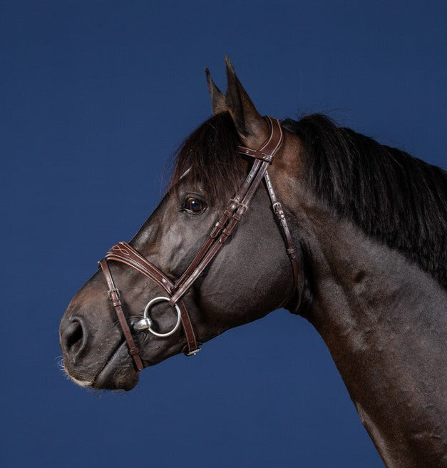 Dyon US Jumping hoofdstel anatomisch gecombineerde neusriem bruin