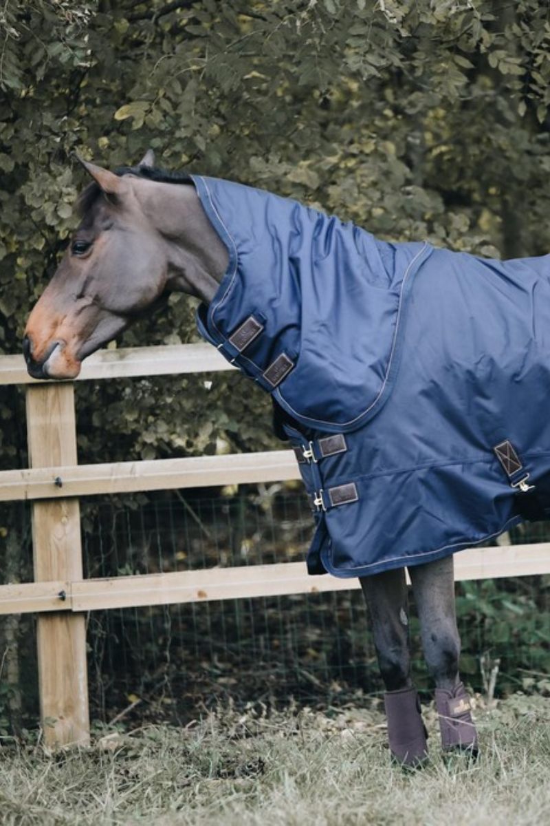 Paard met paardendeken