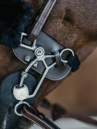 Dyon Hackamore Protection Bruin