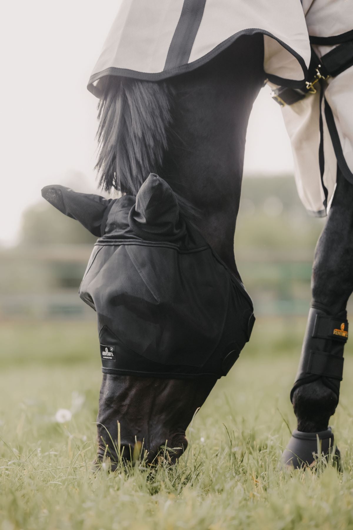 Kentucky Horsewear vliegenmasker Classic met oren Zwart