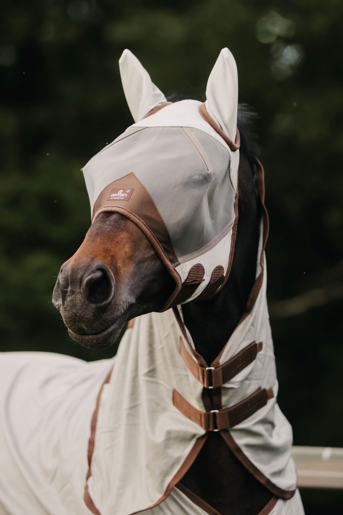 Kentucky Horsewear vliegenmasker Classic met oren Zilver