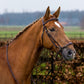 TRUST hoofdstel Barcelona lage neusriem gouden gespen Bruin