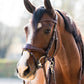 TRUST hoofdstel Falsterbo T-Motion zilveren gespen Bruin