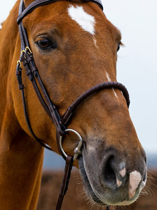 TRUST hoofdstel Dublin leder omklede touwneusriem gouden gesp Bruin