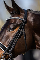 TRUST hoofdstel Wellington Stang & Trens wit onderlegd Zwart