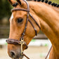 TRUST hoofdstel Hickstead Hackamore bridle zilveren gespen Bruin