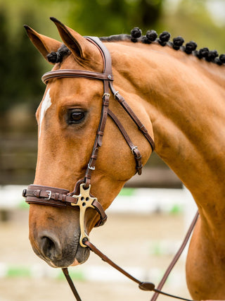 TRUST hoofdstel Hickstead Hackamore bridle zilveren gespen Bruin