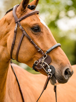 TRUST hoofdstel Hickstead Hackamore bridle zilveren gespen Bruin