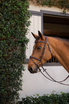 Equiline Hoofdstel Anatomisch smal gecombineerde neusriem