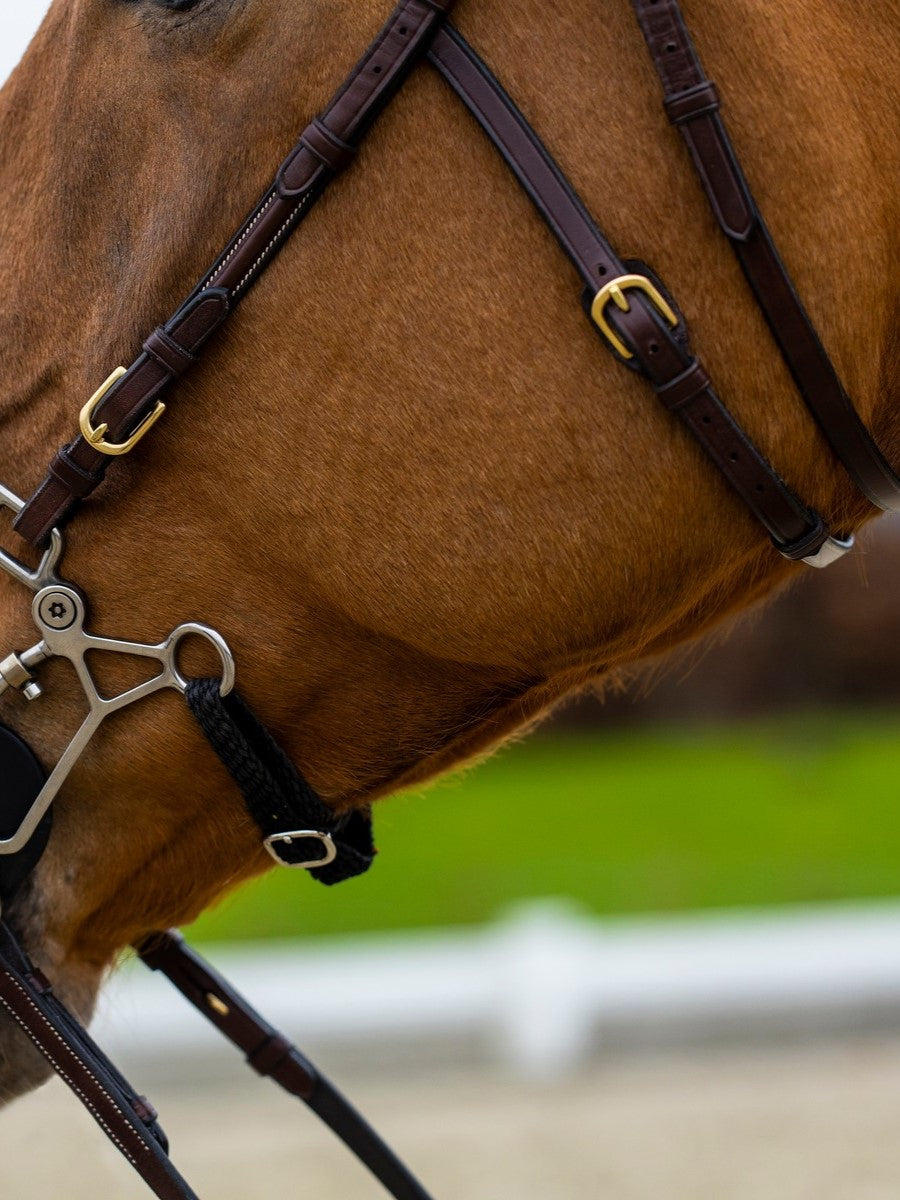 TRUST hoofdstel Hickstead Hackamore bridle gouden gespen Bruin