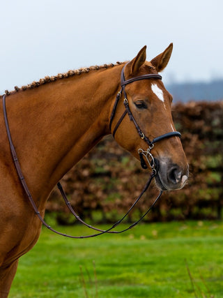 TRUST hoofdstel Hickstead Hackamore bridle gouden gespen Bruin