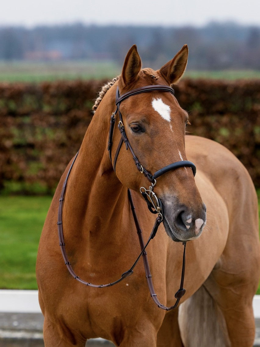 TRUST hoofdstel Hickstead Hackamore bridle gouden gespen Bruin