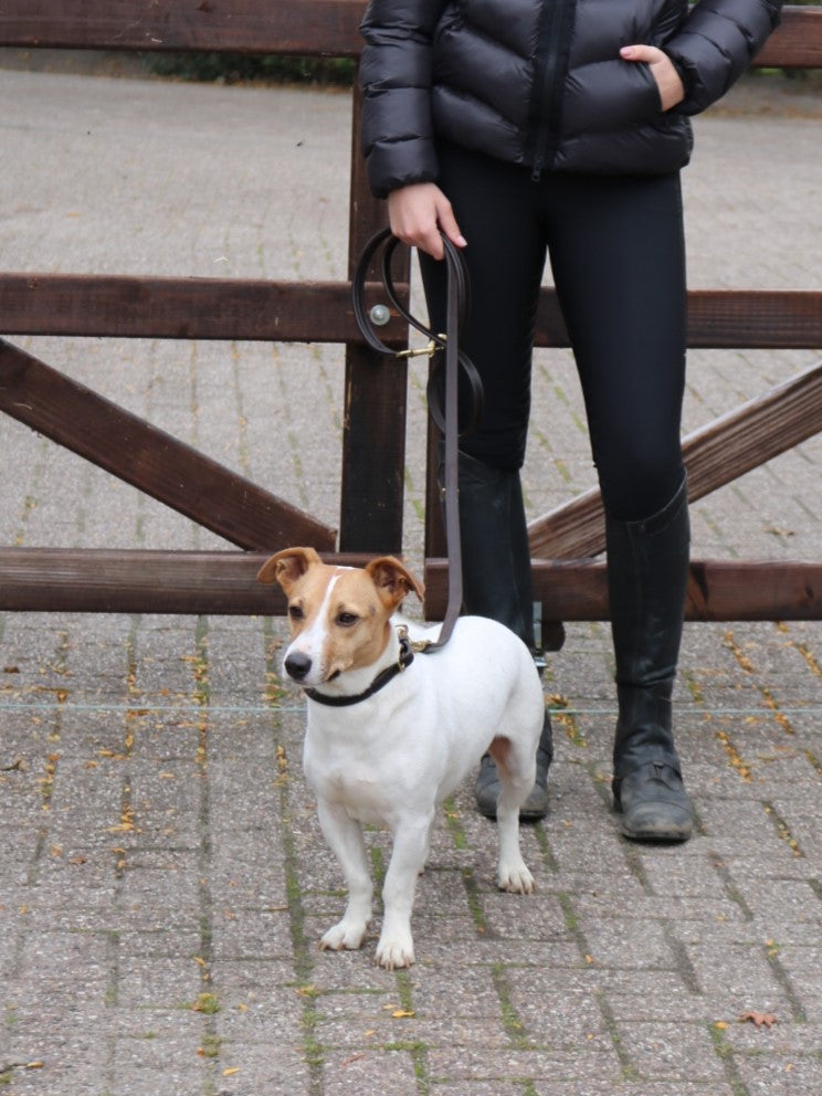 Eskadron E-Dog lederen halsband en hondenriem Bruin