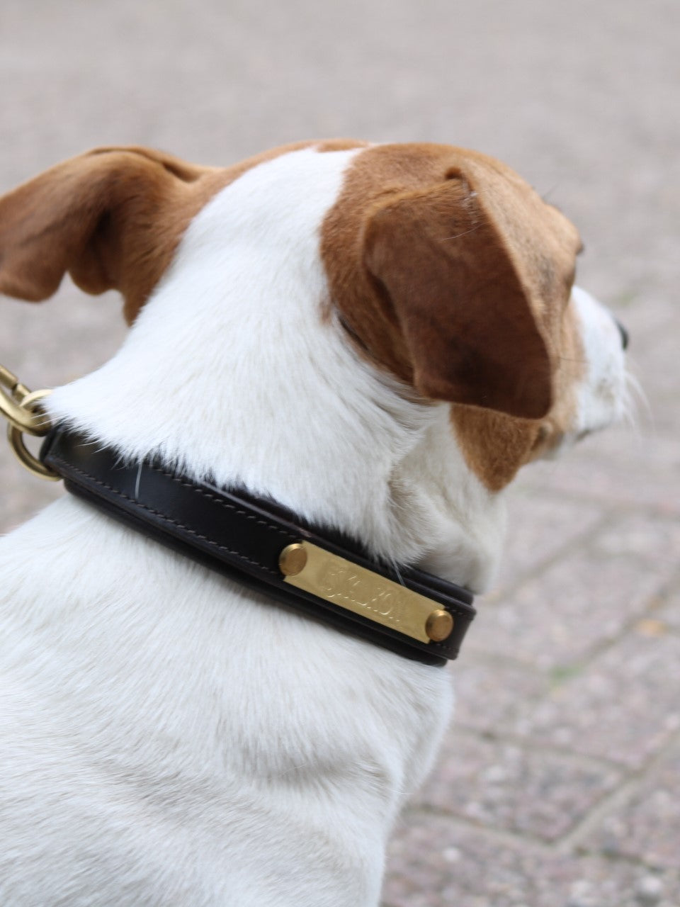 Eskadron E-Dog lederen halsband en hondenriem Bruin