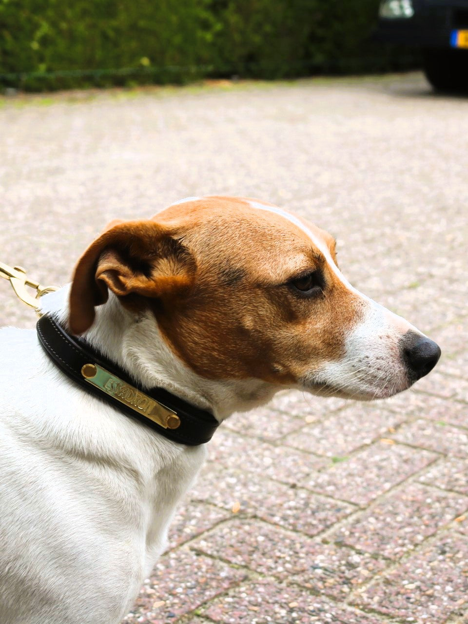 Eskadron E-Dog lederen halsband en hondenriem Bruin