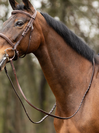 TRUST Hunter reins Braided zilveren gespen Bruin