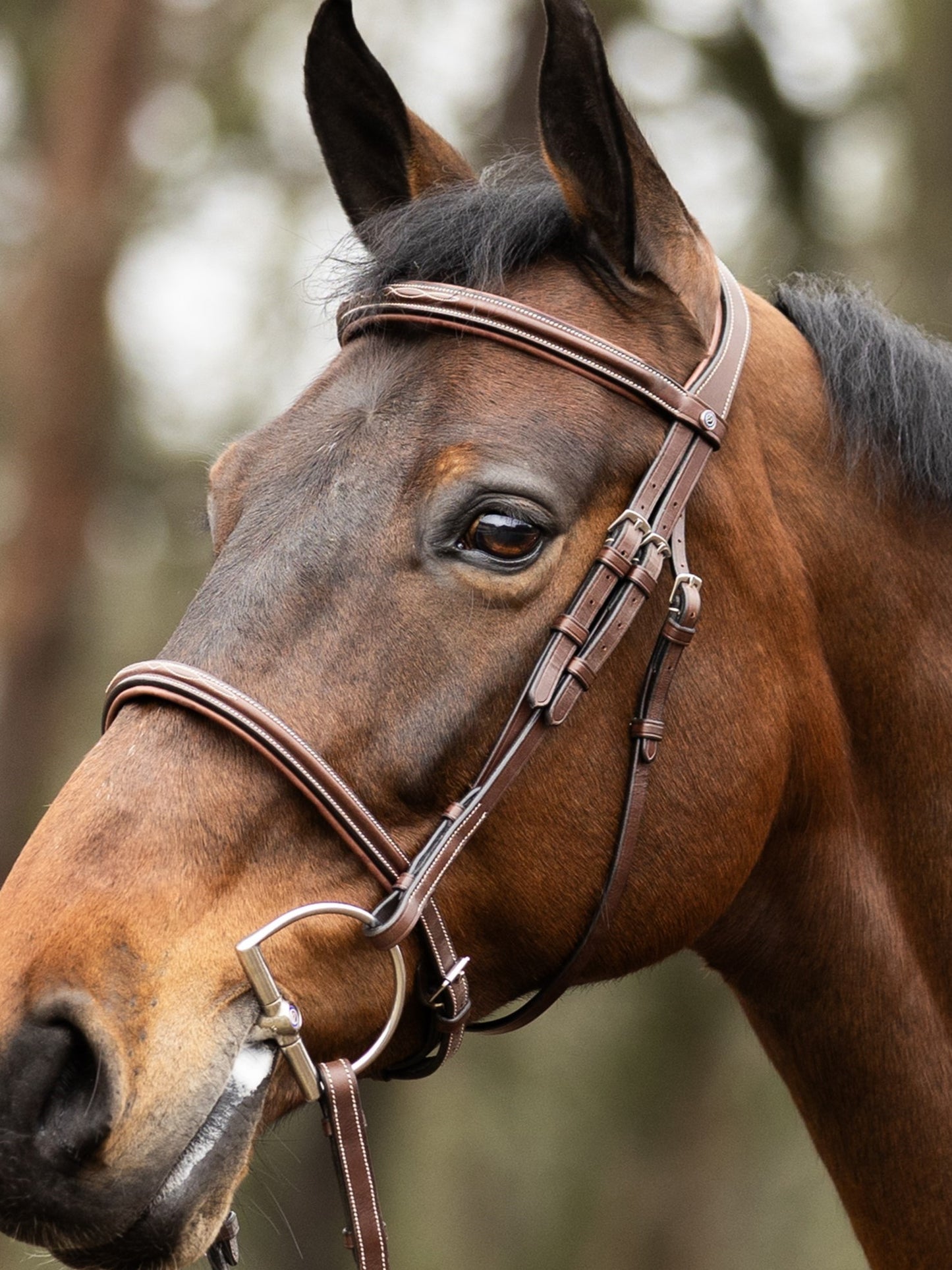 Harnais TRUST Hunter Kentucky boucle en argent Marron