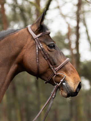 TRUST hoofdstel Hunter Kentucky zilveren gesp Bruin