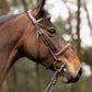 Harnais TRUST Hunter Kentucky boucle en argent Marron