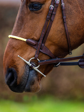 TRUST hoofdstel St. Gallen koordneusriem zilveren gespen Bruin