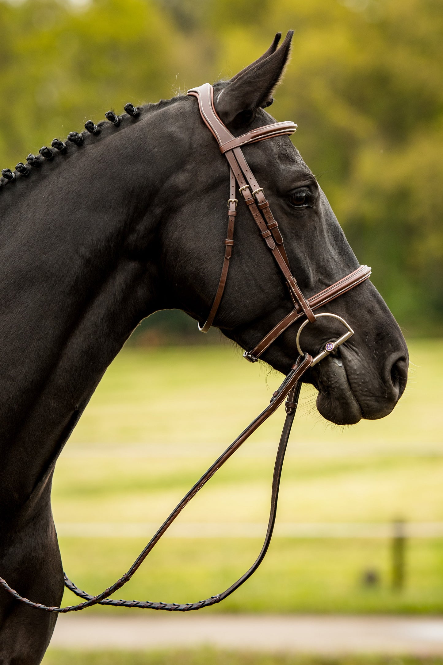 TRUST hoofdstel Hunter Kentucky zilveren gesp Bruin