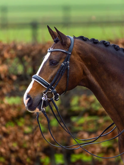 TRUST hoofdstel Aachen Stang & Trens Lakneusriem wit onderlegd Zwart