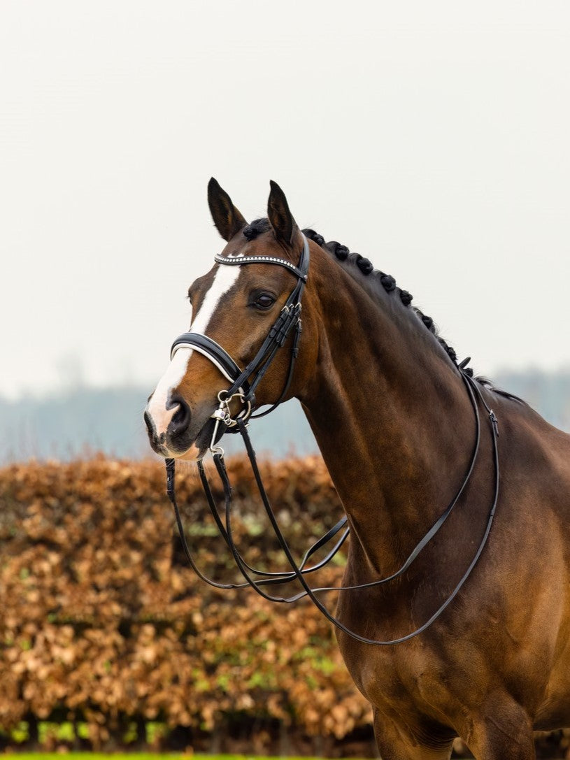 TRUST hoofdstel Aachen Stang & Trens Lakneusriem wit onderlegd Zwart